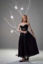 Black transparent dress